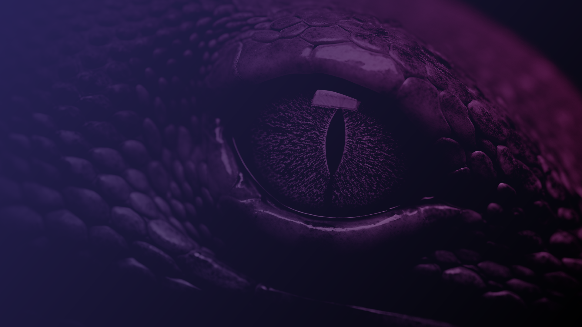 QC074_NodeSnake_backgrounds_2